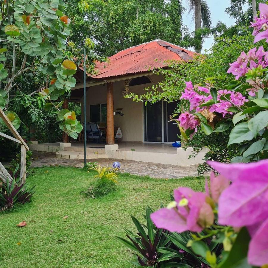 Villa Sonrisa Casa De Huespedes Las Terrenas Bagian luar foto