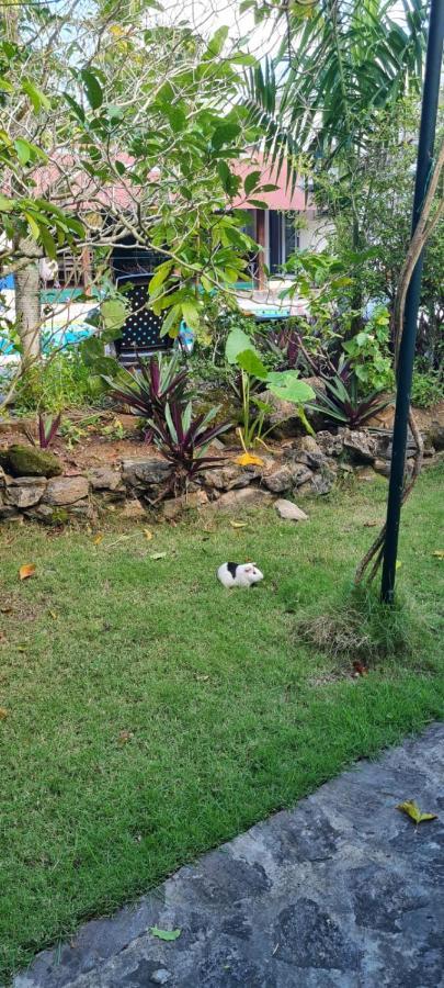 Villa Sonrisa Casa De Huespedes Las Terrenas Bagian luar foto